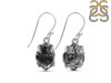 Herkimer Diamond Earring-E HKD-3-439