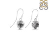 Herkimer Diamond Earring-E HKD-3-481