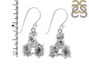 Herkimer Diamond Earring-2E HKD-3-483