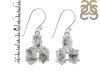 Herkimer Diamond Earring-2E HKD-3-484