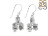 Herkimer Diamond Earring-2E HKD-3-484