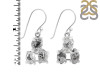 Herkimer Diamond Earring-2E HKD-3-488