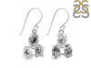 Herkimer Diamond Earring-2E HKD-3-488