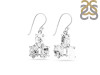 Herkimer Diamond Rough Earring-2E HKD-3-55