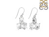 Herkimer Diamond Rough Earring-2E HKD-3-60