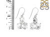 Herkimer Diamond Rough Earring-2E HKD-3-60