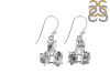 Herkimer Diamond Rough Earring-2E HKD-3-64