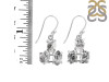 Herkimer Diamond Rough Earring-2E HKD-3-64