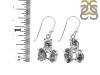 Herkimer Diamond Rough Earring-2E HKD-3-69