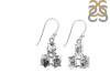 Herkimer Diamond Rough Earring-2E HKD-3-70