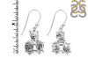Herkimer Diamond Rough Earring-2E HKD-3-72