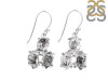 Herkimer Diamond Rough Earring-2E HKD-3-78