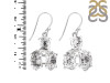 Herkimer Diamond Rough Earring-2E HKD-3-92