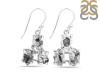 Herkimer Diamond Rough Earring-2E HKD-3-99