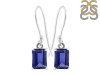 Iolite Earring IOL-RDE-675.