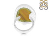 Imperial Jasper Adjustable Ring-ADJ-R IPJ-2-47
