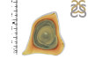 Imperial Jasper Adjustable Ring-ADJ-R IPJ-2-94