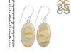 Imperial Jasper Earring-E IPJ-3-11