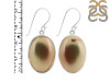 Imperial Jasper Earring-E IPJ-3-20