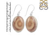 Imperial Jasper Earring-E IPJ-3-8