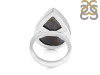 Iron Tiger Eye Adjustable Ring-ADJ-R ITE-2-35