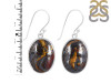 Iron Tiger Eye Earring-E ITE-3-17