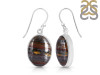 Iron Tiger Eye Earring-E ITE-3-22