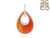 Montana Agate Donut Pendant-SP JSP-1-23-MTA