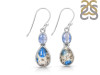 K2 Jasper/Kyanite Earring-2E K2J-3-56