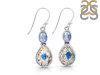 K2 Jasper/Kyanite Earring-2E K2J-3-58