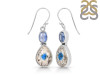K2 Jasper/Kyanite Earring-2E K2J-3-58
