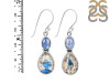 K2 Jasper/Kyanite Earring-2E K2J-3-67