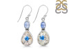 K2 Jasper/Kyanite Earring-2E K2J-3-72