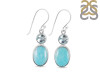 Close Out Larimar/Blue Topaz Earring-2E LAR-CO-3-130