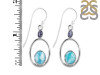 Close Out Larimar/Tanzanite Earring-2E LAR-CO-3-162