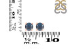 Labradorite Stud Earring LBD-RDE-1321.