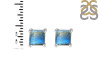 Labradorite Stud Earring LBD-RDE-1373.