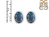 Labradorite Stud Earring LBD-RDE-1376.