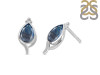 Labradorite Stud Earring LBD-RDE-26.