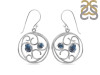 Labradorite Earring LBD-RDE-65.