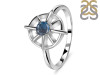 Labradorite Dharma Wheel Ring LBD-RDR-2147.