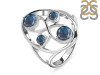 Labradorite Ring LBD-RDR-31.