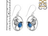Labradorite Sea Horse Earring LBD-RUE-5.