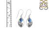 Labradorite Shell Earring LBD-RUE-6.