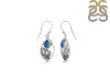 Labradorite Shell Earring LBD-RUE-6.