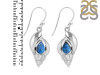 Labradorite Shell Earring LBD-RUE-7.