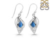 Labradorite Shell Earring LBD-RUE-7.