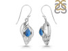Labradorite Shell Earring LBD-RUE-7.