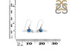 Labradorite & White Topaz Shark Earring LBD-RUE-13.