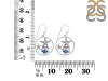 Labradorite Star Fish & Shell Earring LBD-RUE-16.